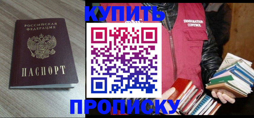прописка 2025 в Шебекино